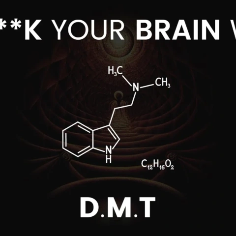 How to Unf**k Your Brain Using DMT – A Beginners look into Dimethyltryptamine